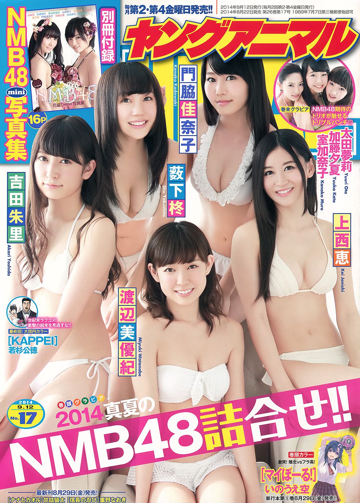 [Young Animal] 2014 No.17 NMB480