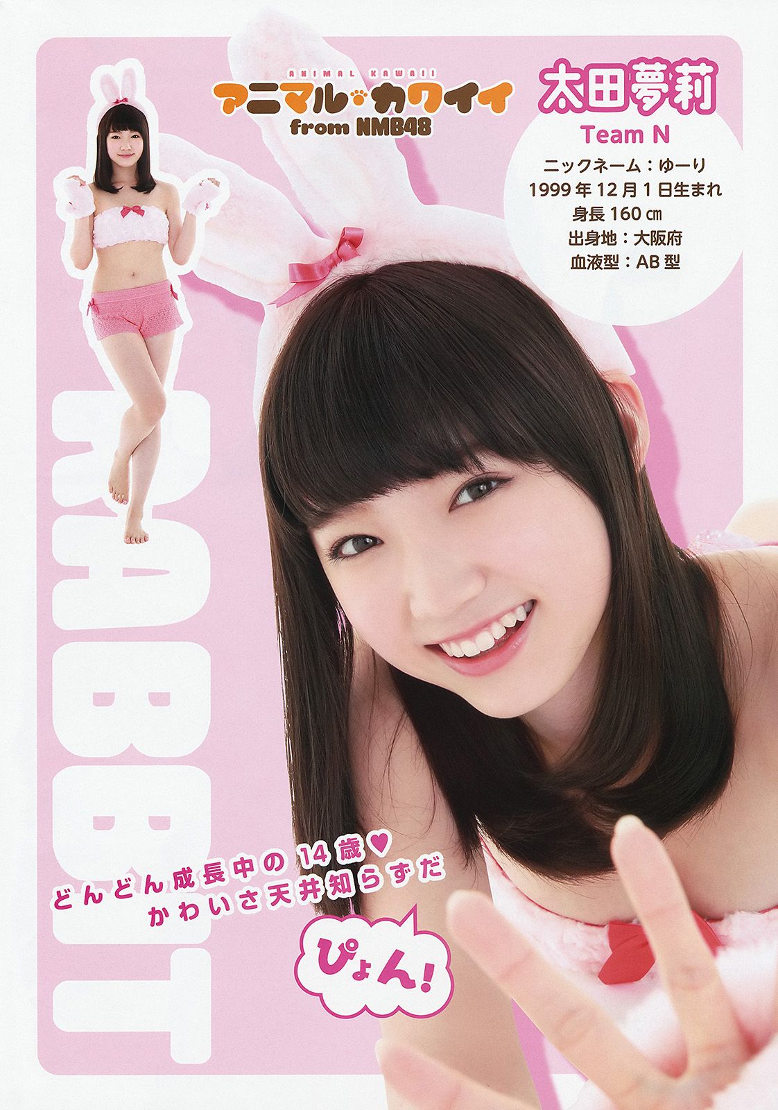 [Young Animal] 2014 No.17 NMB483