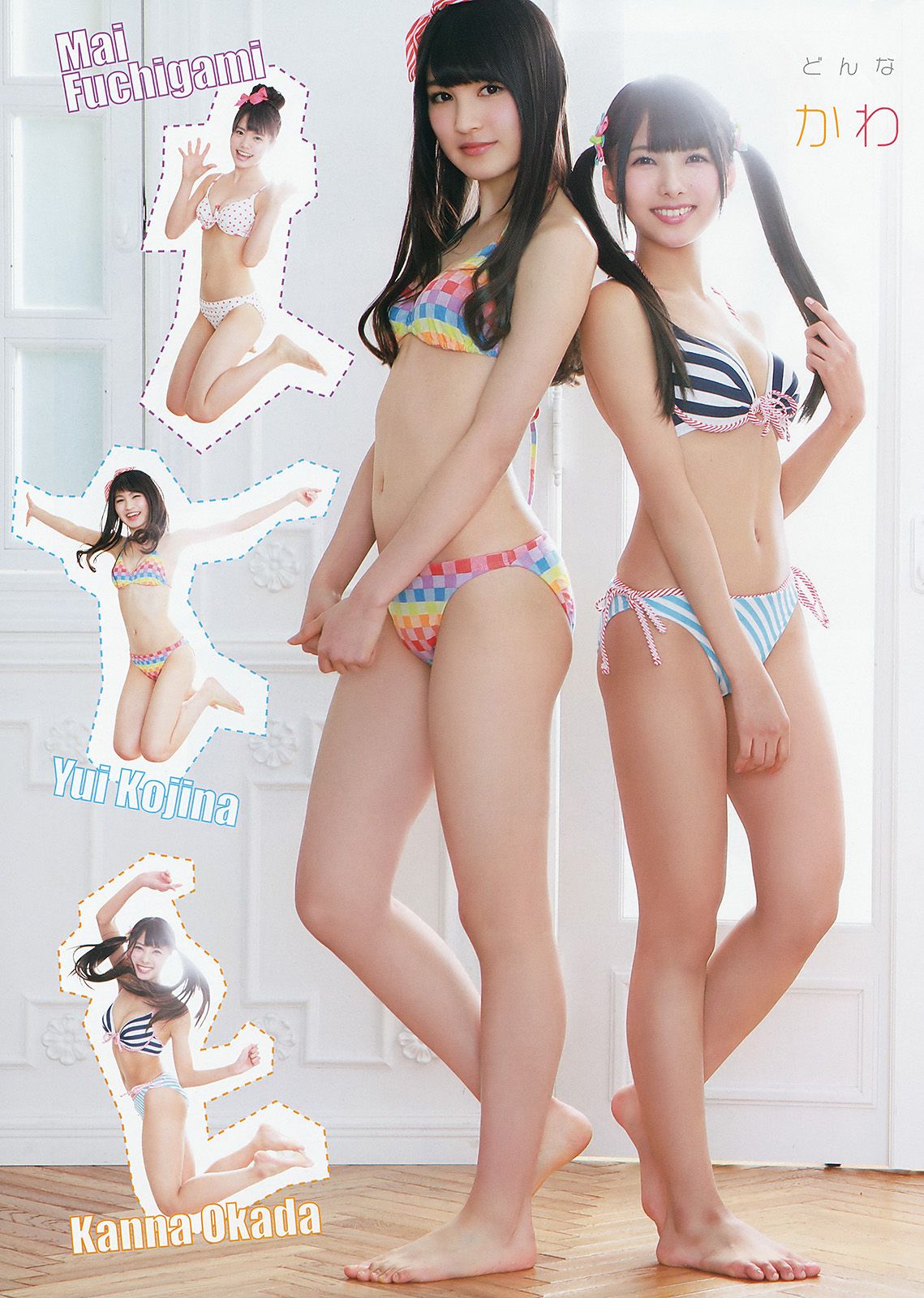 [Young Animal] 2015.02 No.04 HKT483