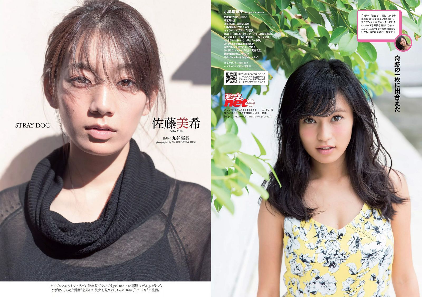 [Weekly Playboy] 2015.12 No.49 小島瑠璃子 佐藤美希 笛木優子 宮脇麻那 橘花凛 森下まい 希志あいの2